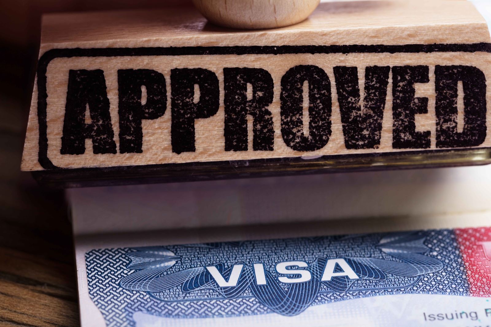 what is e1 visa