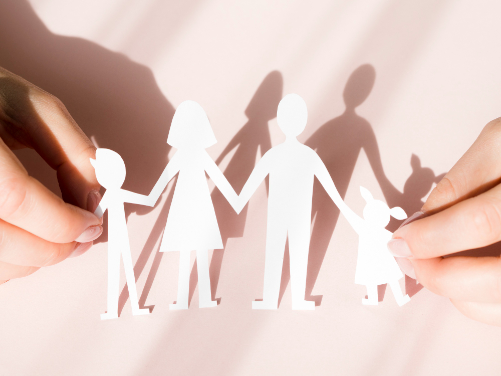 family law in the usa